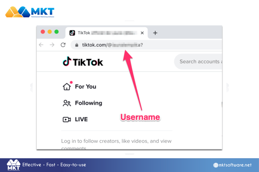 TikTok account information finder: Unlocking insight of TikTok's audience