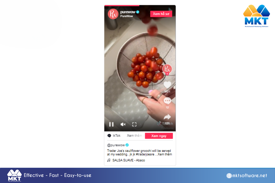 10 Engaging TikTok Ideas for Beginners: Boost Your Brand's Presence