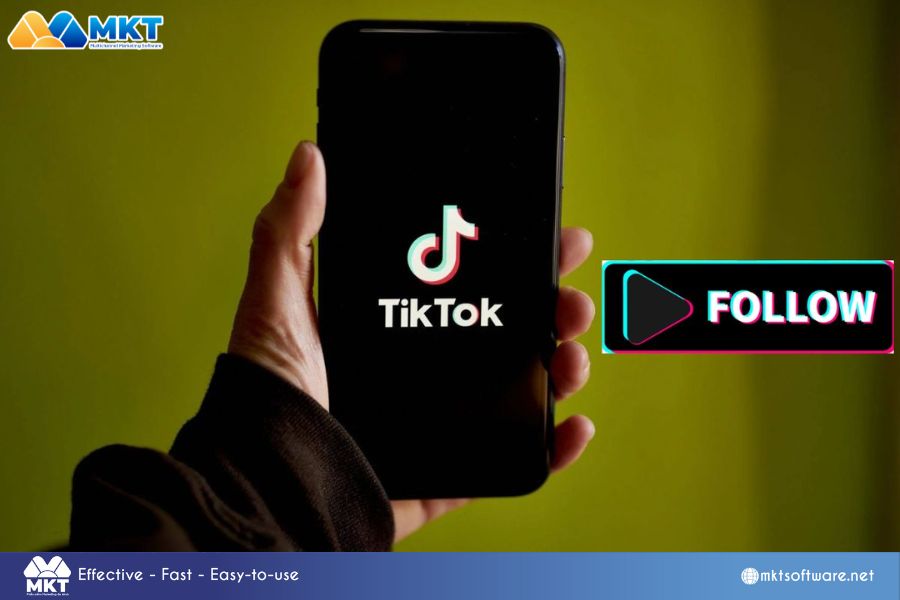 Auto follow TikTok